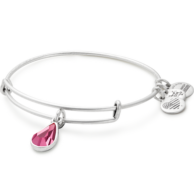 Birth Month Charm Bangle-Silver-October