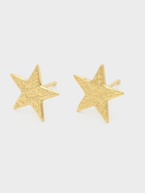 Small Star Stud Earrings-Gold